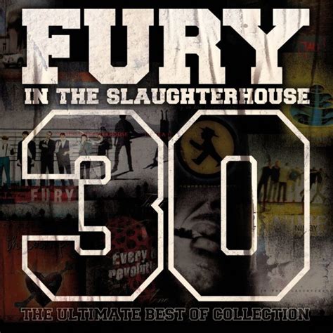 fury in the slaughterhouse lieder